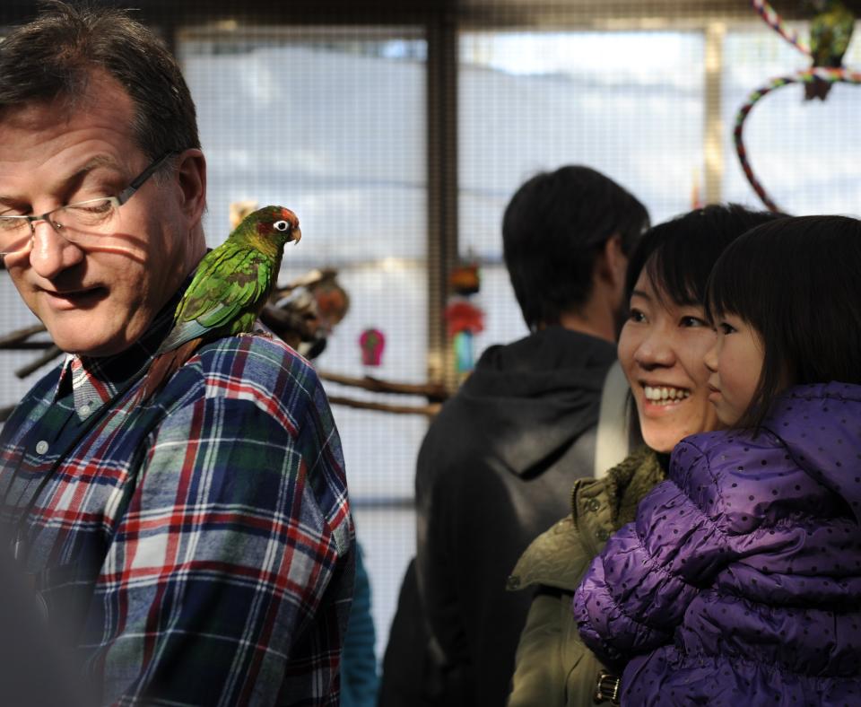 Smiling people visiting with birds