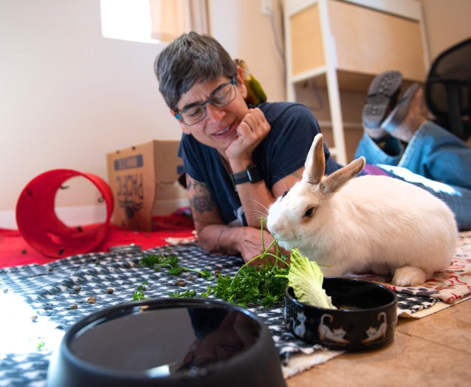 Person taking care of a bunny