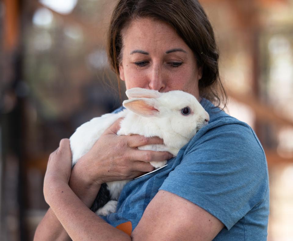 Person holding a small bunny close to their face