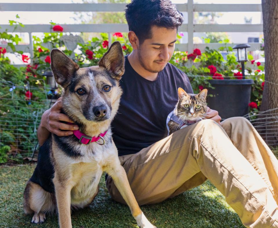 Person sitting in the grass with a small cat in their lap and dog by their side