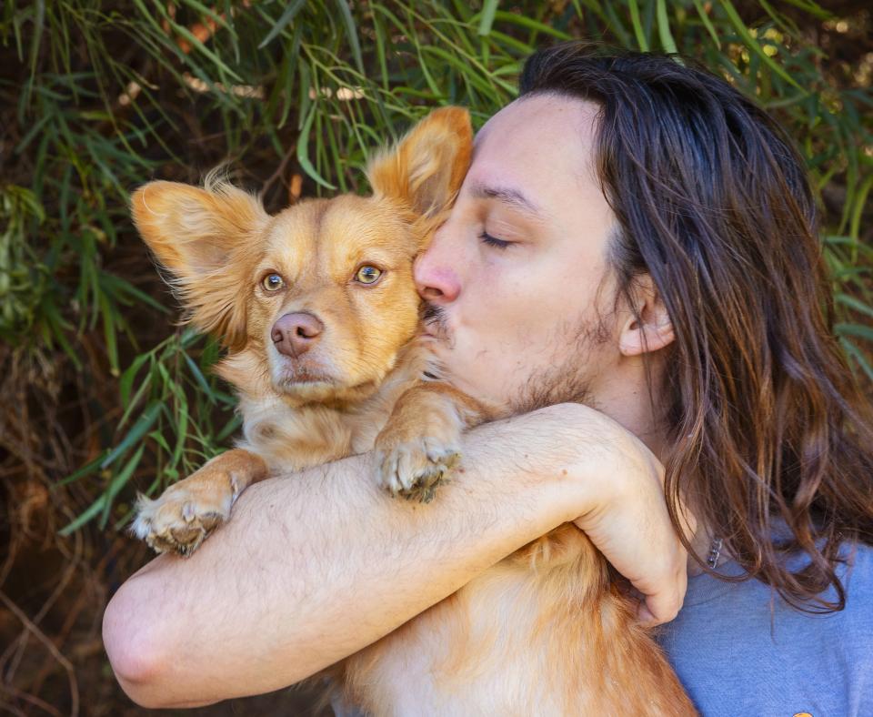 Person kissing the side of a dog's face while hugging them