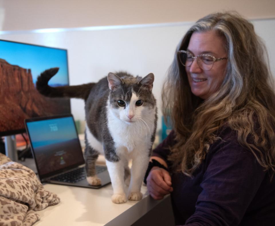 Highway the cat on a desk next to a computer and monitor and Lisa Anderson