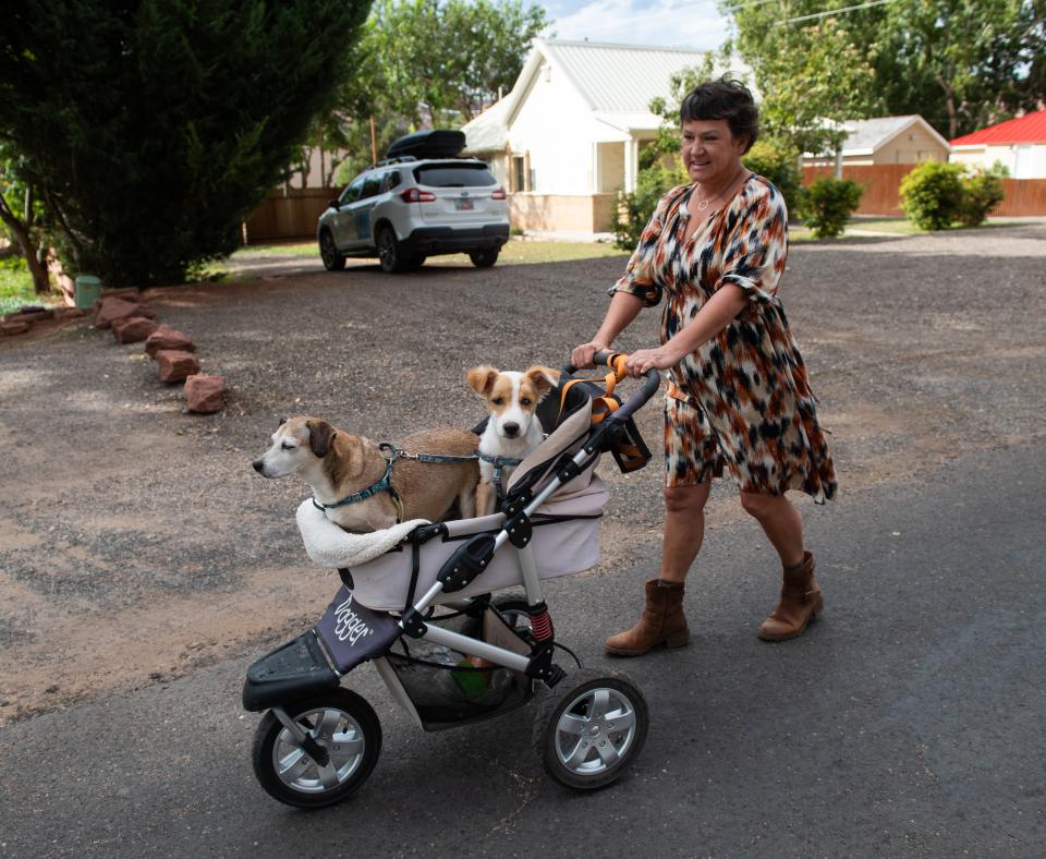 Karen pushing Halo and Cooper in the stroller