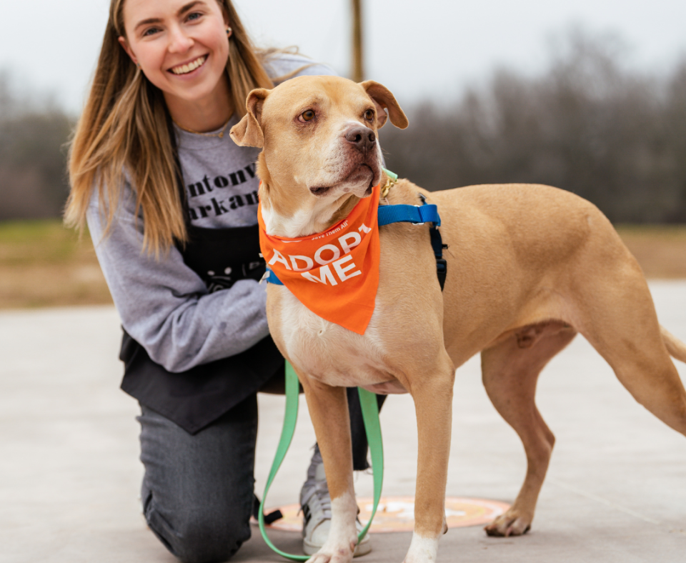 A young woman kneels beside a light brown dog in an orange bandana