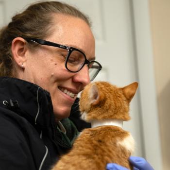 Best Friends employee Amy Kohlbecker nose-to-nose with Clementine the cat