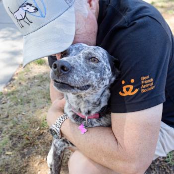 Person kneeling down to hug a dog