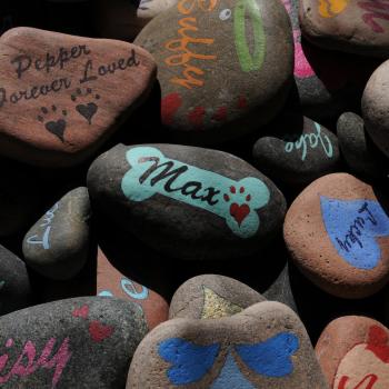 Hand painted pet memorial rocks