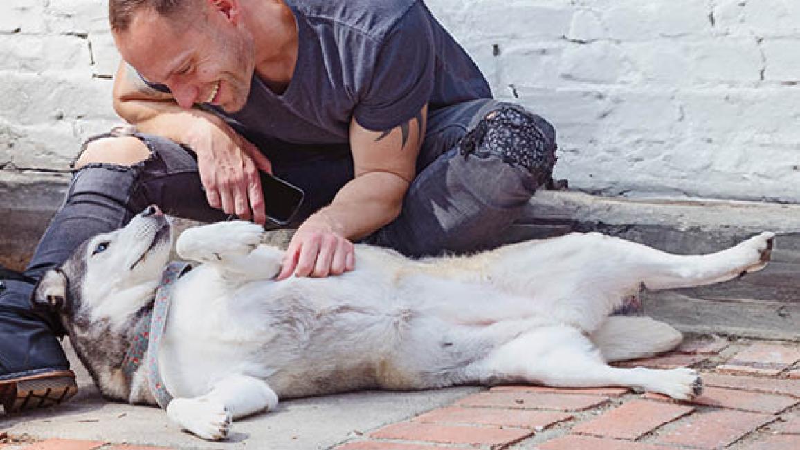 Smiling person rubbing the belly of a dog lying on his side