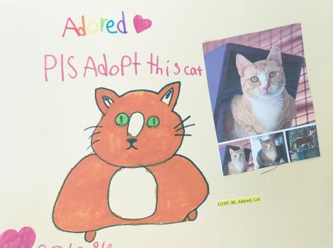 Child's drawing of Adored the cat with an actual photo of Adored
